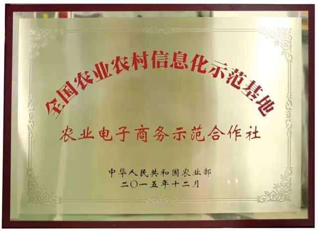 如何打造富硒蔬菜大棚(蔬菜大棚项目)-硒宝网