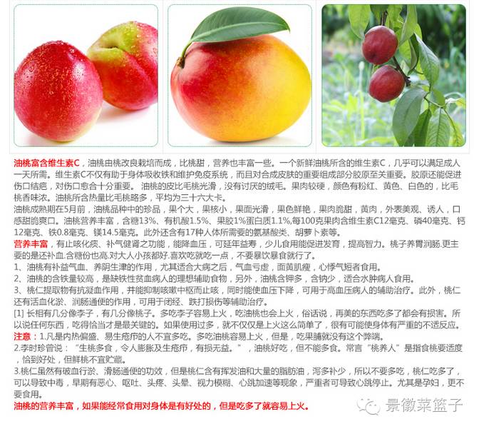 如何打造富硒蔬菜大棚(蔬菜大棚项目)-硒宝网