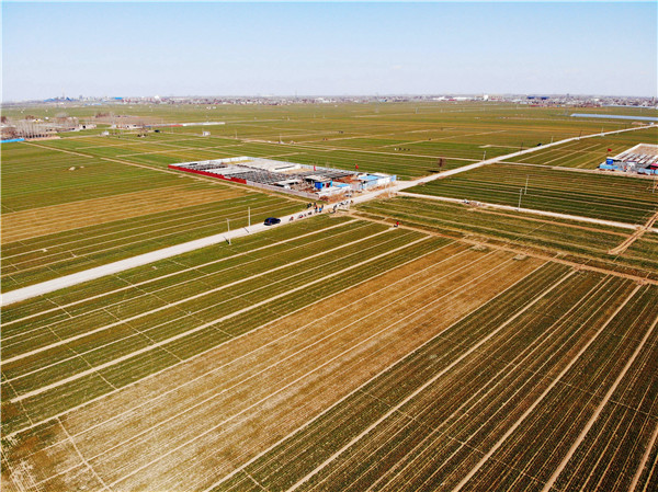 藁城富硒蔬菜小镇在哪（藁城富硒带）-硒宝网