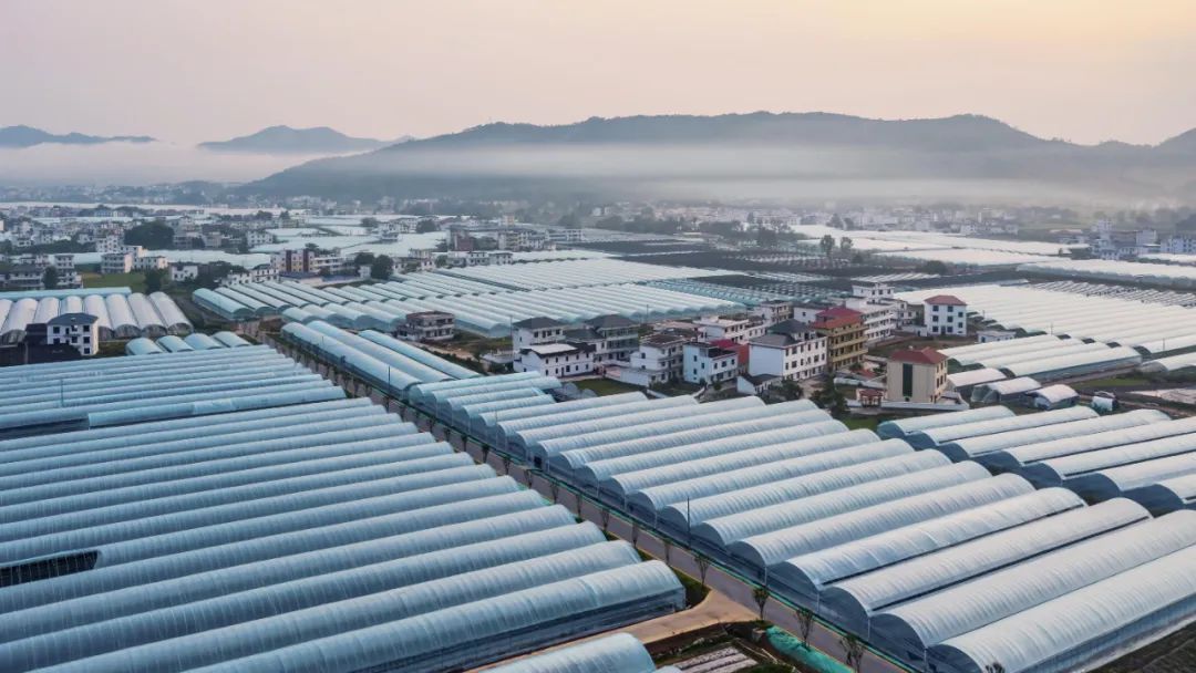 于都富硒蔬菜研发公司（于都富硒蔬菜基地）-硒宝网