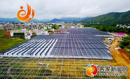 于都富硒蔬菜大棚地址（于都富硒农业）-硒宝网