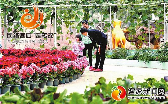 于都富硒蔬菜大棚地址（于都富硒农业）-硒宝网