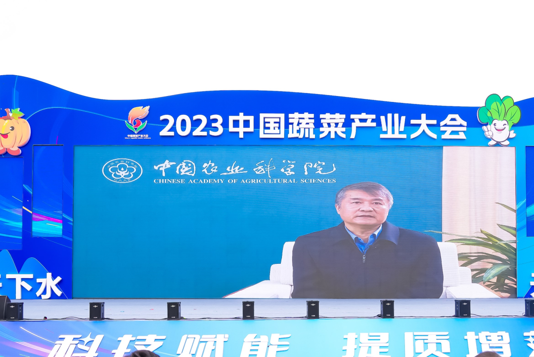 建言富硒蔬菜产业发展(中国富硒蔬菜杂交)-硒宝网