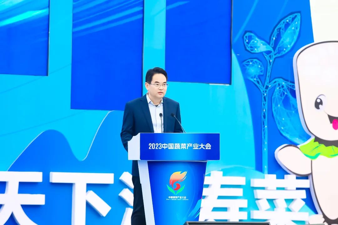 建言富硒蔬菜产业发展(中国富硒蔬菜杂交)-硒宝网