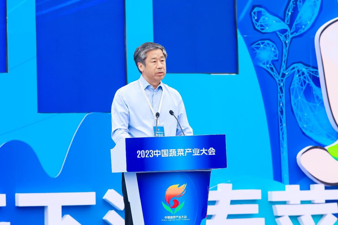 建言富硒蔬菜产业发展(中国富硒蔬菜杂交)-硒宝网