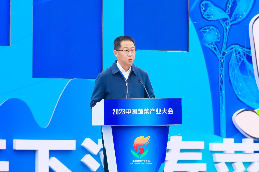 建言富硒蔬菜产业发展(中国富硒蔬菜杂交)-硒宝网