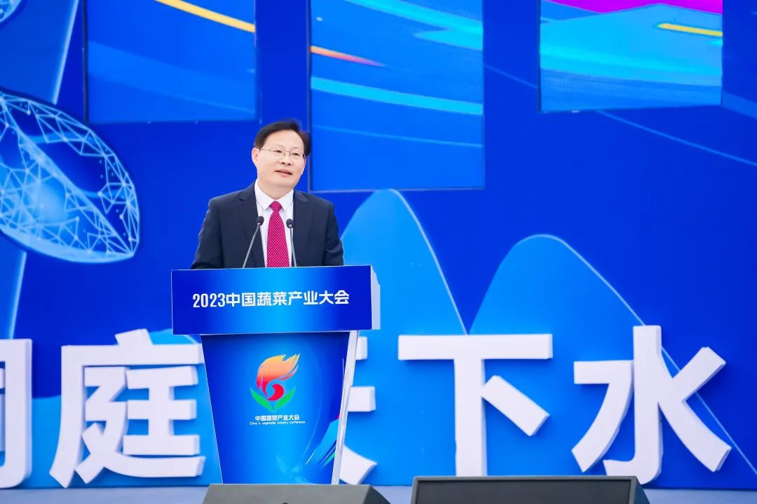 建言富硒蔬菜产业发展(中国富硒蔬菜杂交)-硒宝网