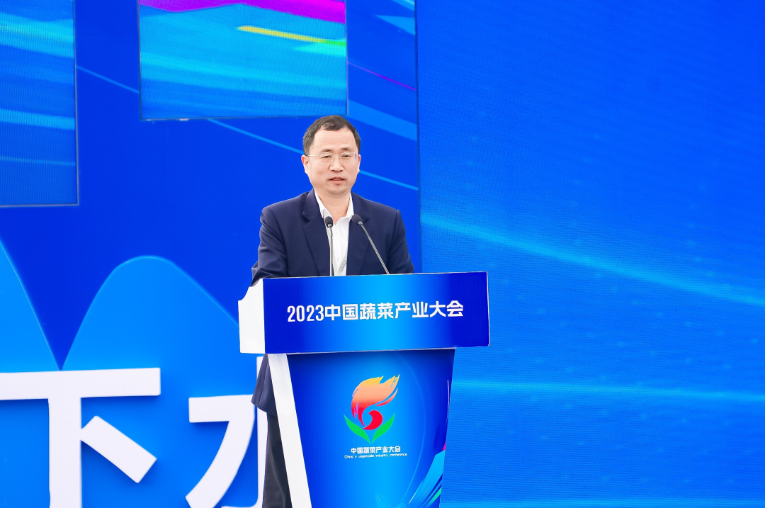 建言富硒蔬菜产业发展(中国富硒蔬菜杂交)-硒宝网
