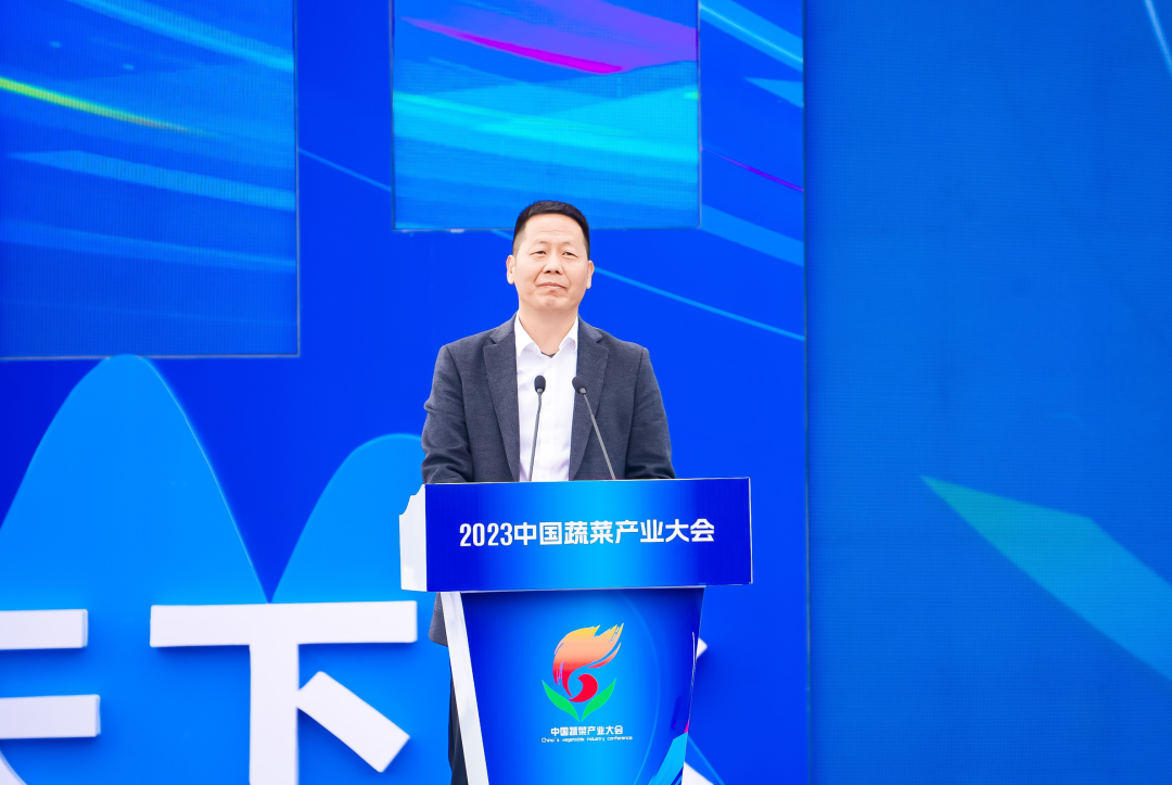 建言富硒蔬菜产业发展(中国富硒蔬菜杂交)-硒宝网