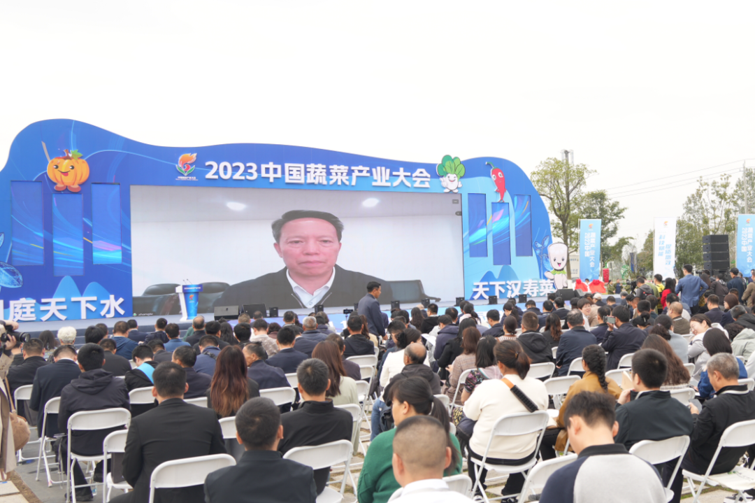 建言富硒蔬菜产业发展(中国富硒蔬菜杂交)-硒宝网