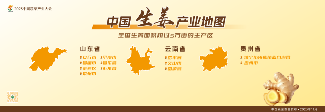 建言富硒蔬菜产业发展(中国富硒蔬菜杂交)-硒宝网