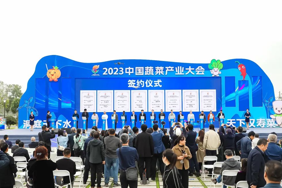 建言富硒蔬菜产业发展(中国富硒蔬菜杂交)-硒宝网