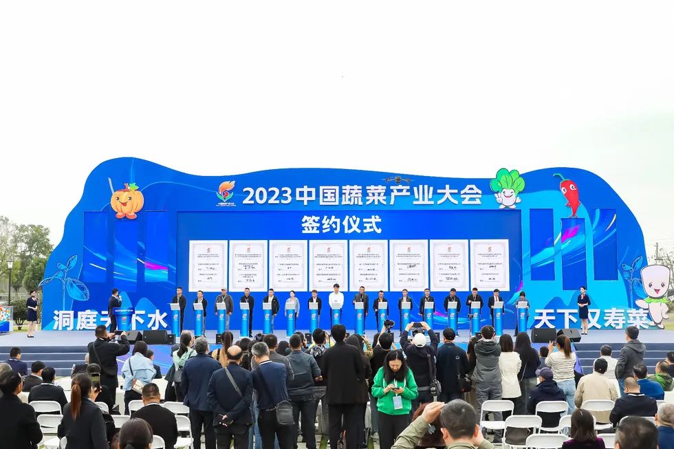 建言富硒蔬菜产业发展(中国富硒蔬菜杂交)-硒宝网