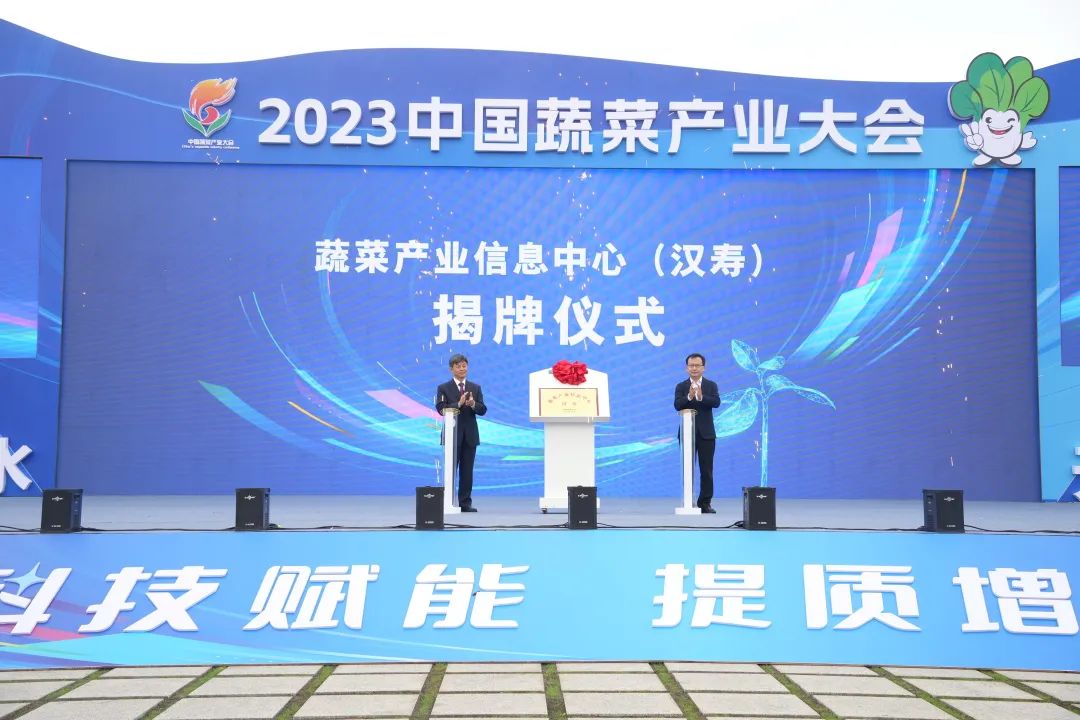 建言富硒蔬菜产业发展(中国富硒蔬菜杂交)-硒宝网