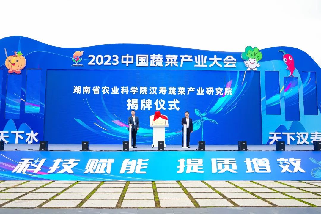 建言富硒蔬菜产业发展(中国富硒蔬菜杂交)-硒宝网