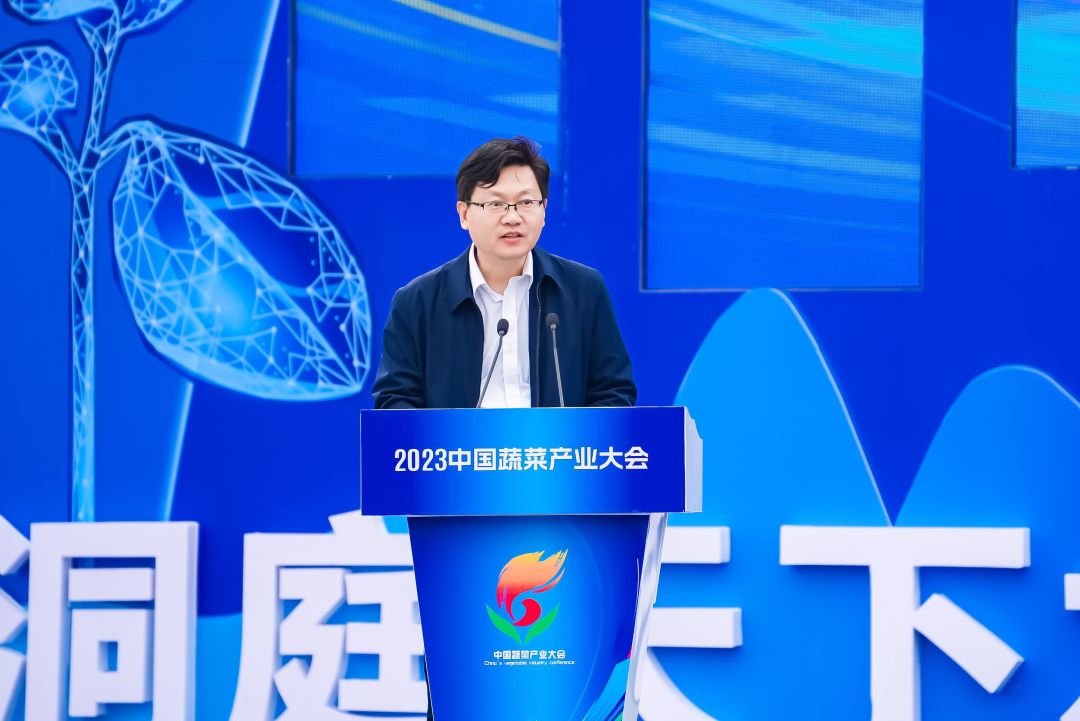 建言富硒蔬菜产业发展(中国富硒蔬菜杂交)-硒宝网