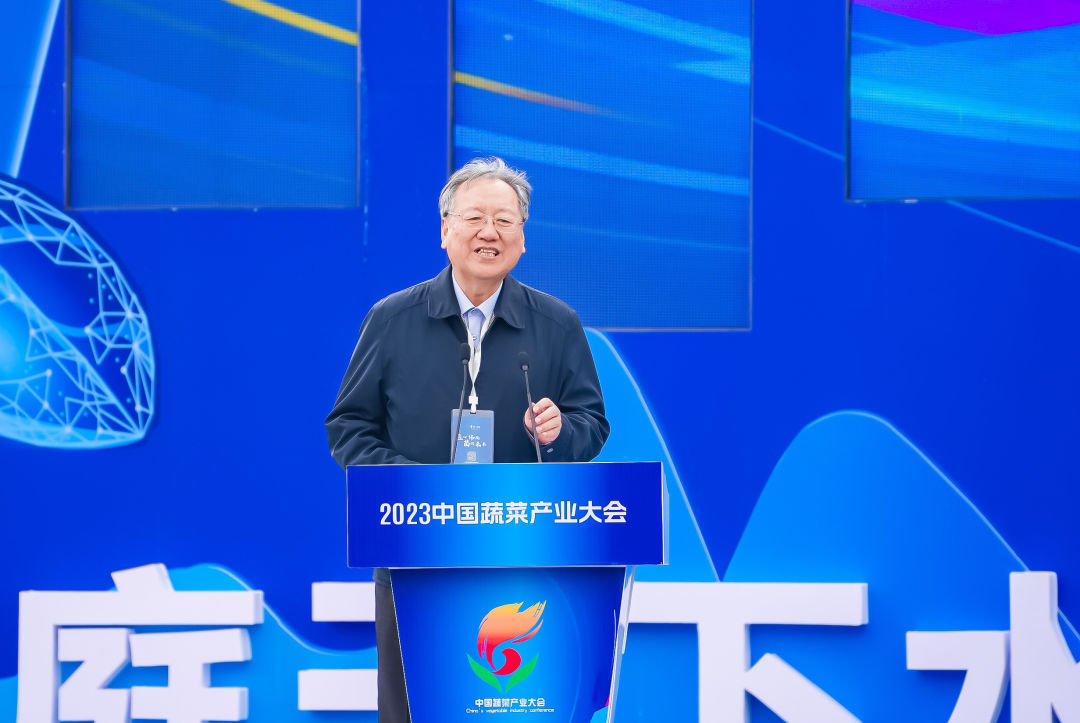 建言富硒蔬菜产业发展(中国富硒蔬菜杂交)-硒宝网