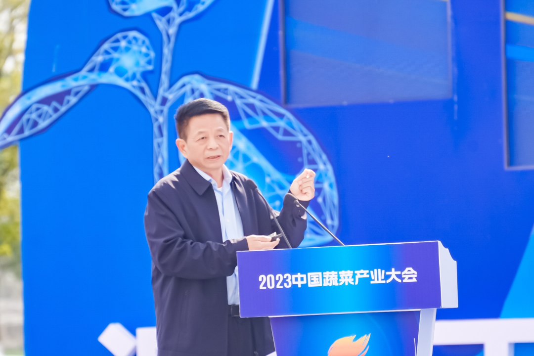 建言富硒蔬菜产业发展(中国富硒蔬菜杂交)-硒宝网