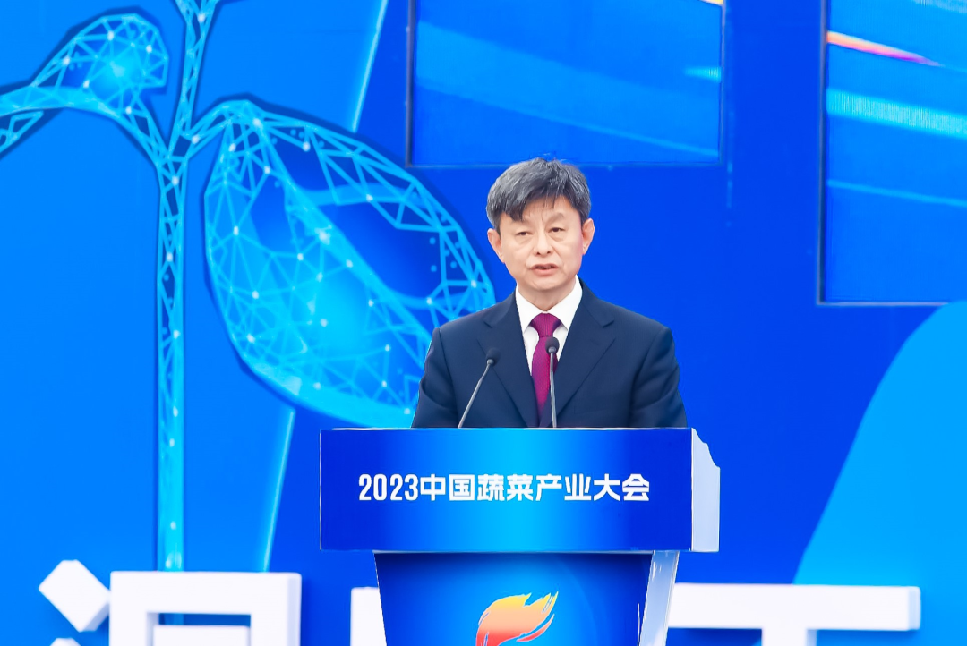 建言富硒蔬菜产业发展(中国富硒蔬菜杂交)-硒宝网