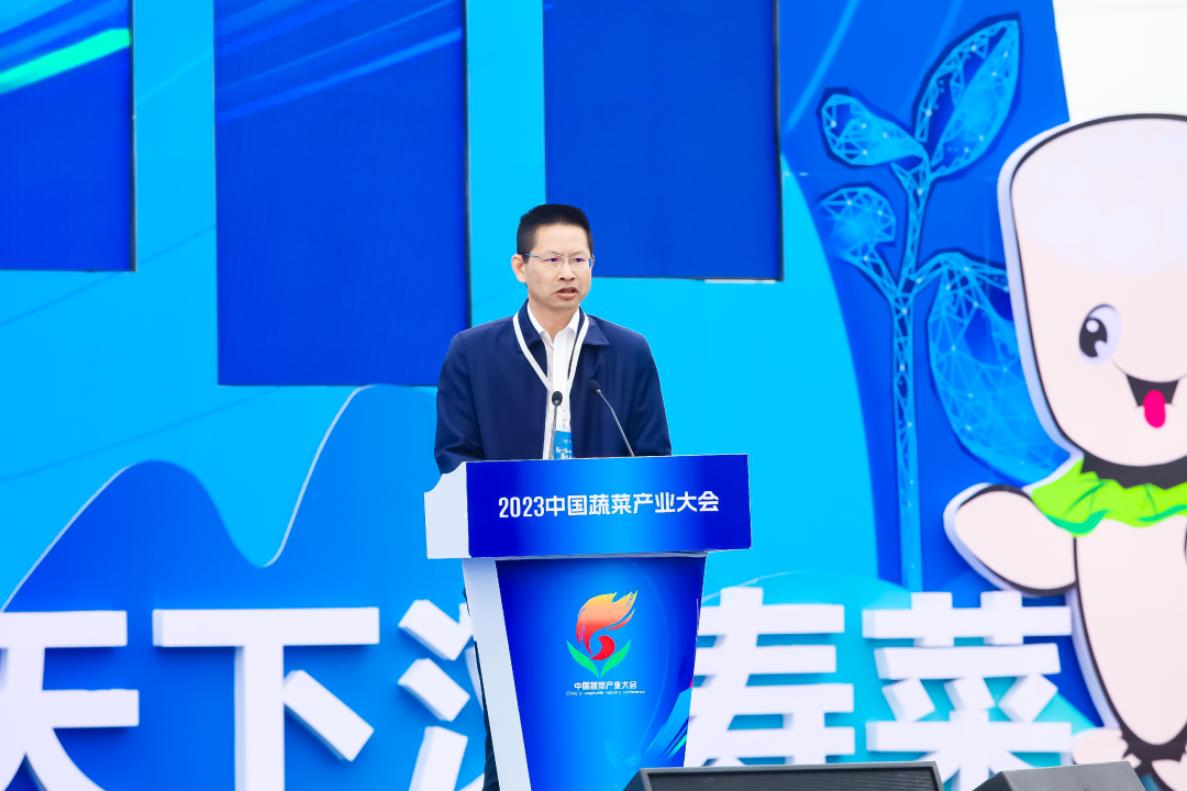 建言富硒蔬菜产业发展(中国富硒蔬菜杂交)-硒宝网
