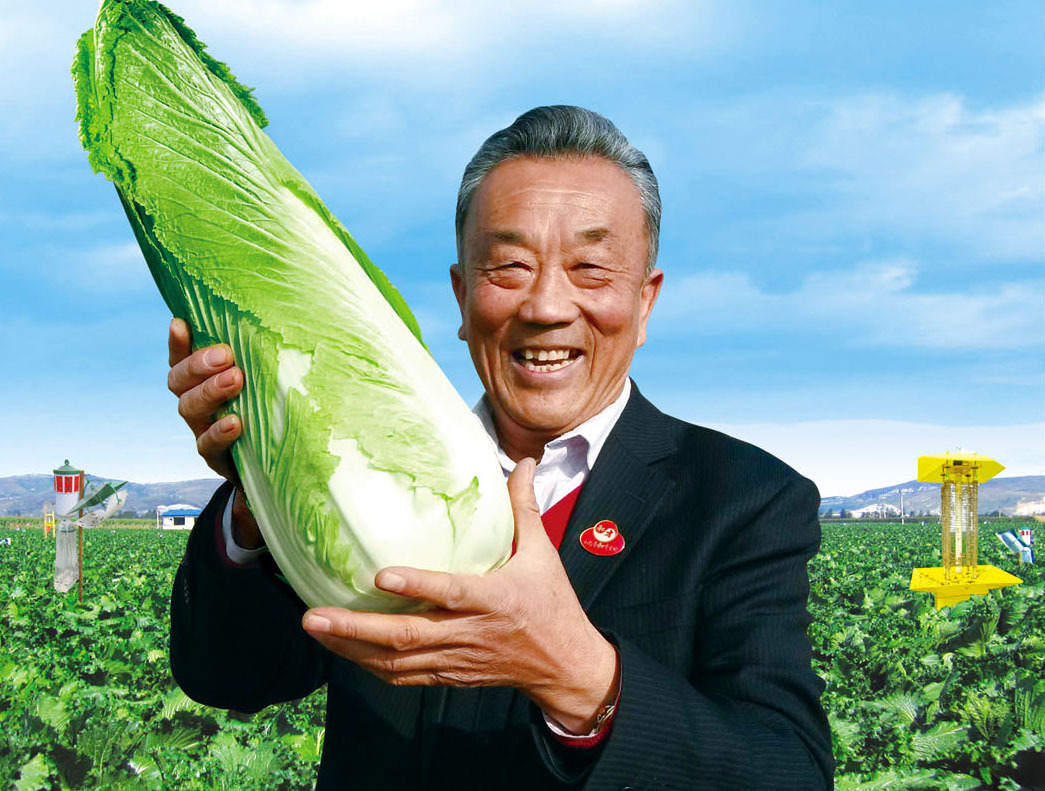 人工如何种植富硒蔬菜(蔬菜人工种植富硒肥料)-硒宝网