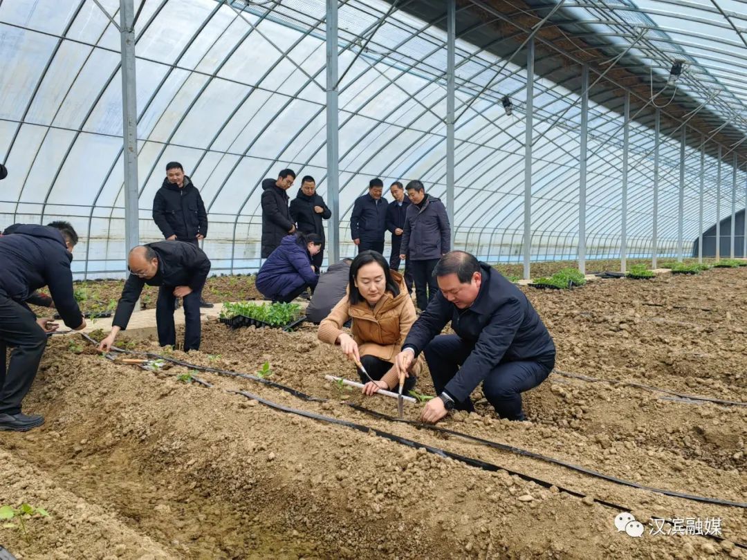 无锡富硒蔬菜种植基地(无锡有机蔬菜基地)-硒宝网