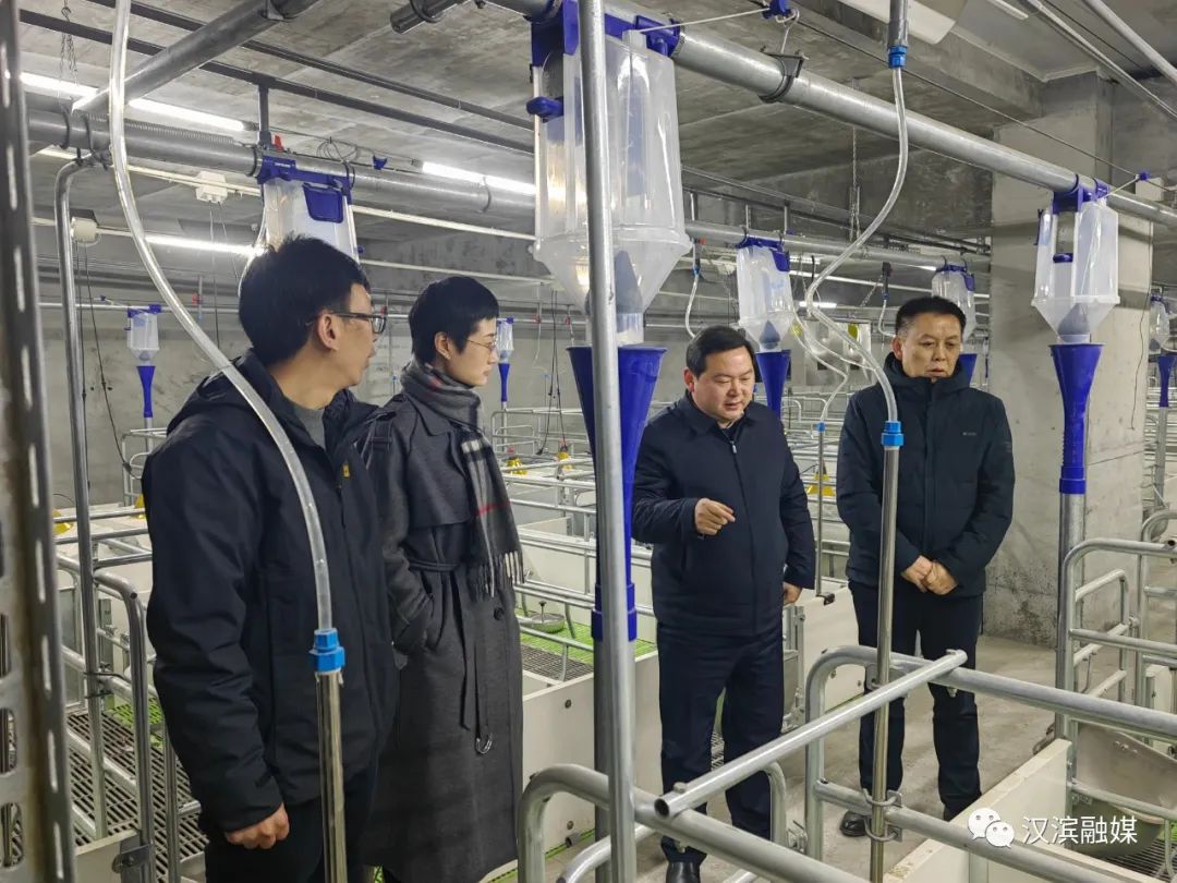 无锡富硒蔬菜种植基地(无锡有机蔬菜基地)-硒宝网