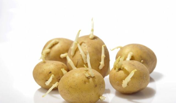 富硒蔬菜对人体的好处(蔬菜富硒标准是多少)-硒宝网