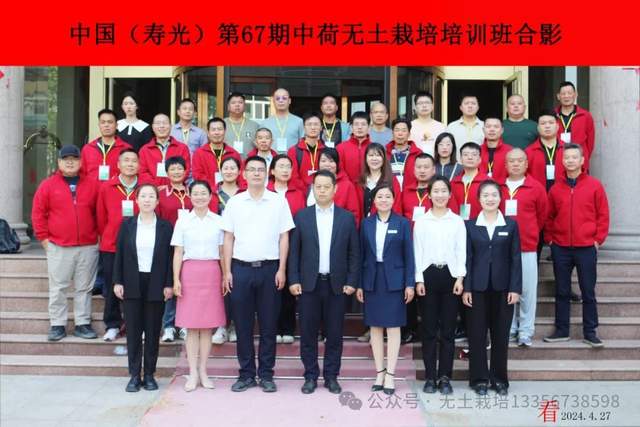 人工如何种植富硒蔬菜（蔬菜人工种植富硒含量）-硒宝网