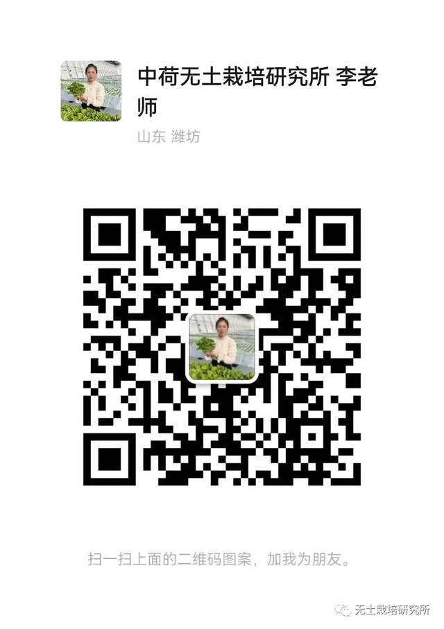 人工如何种植富硒蔬菜（蔬菜人工种植富硒含量）-硒宝网