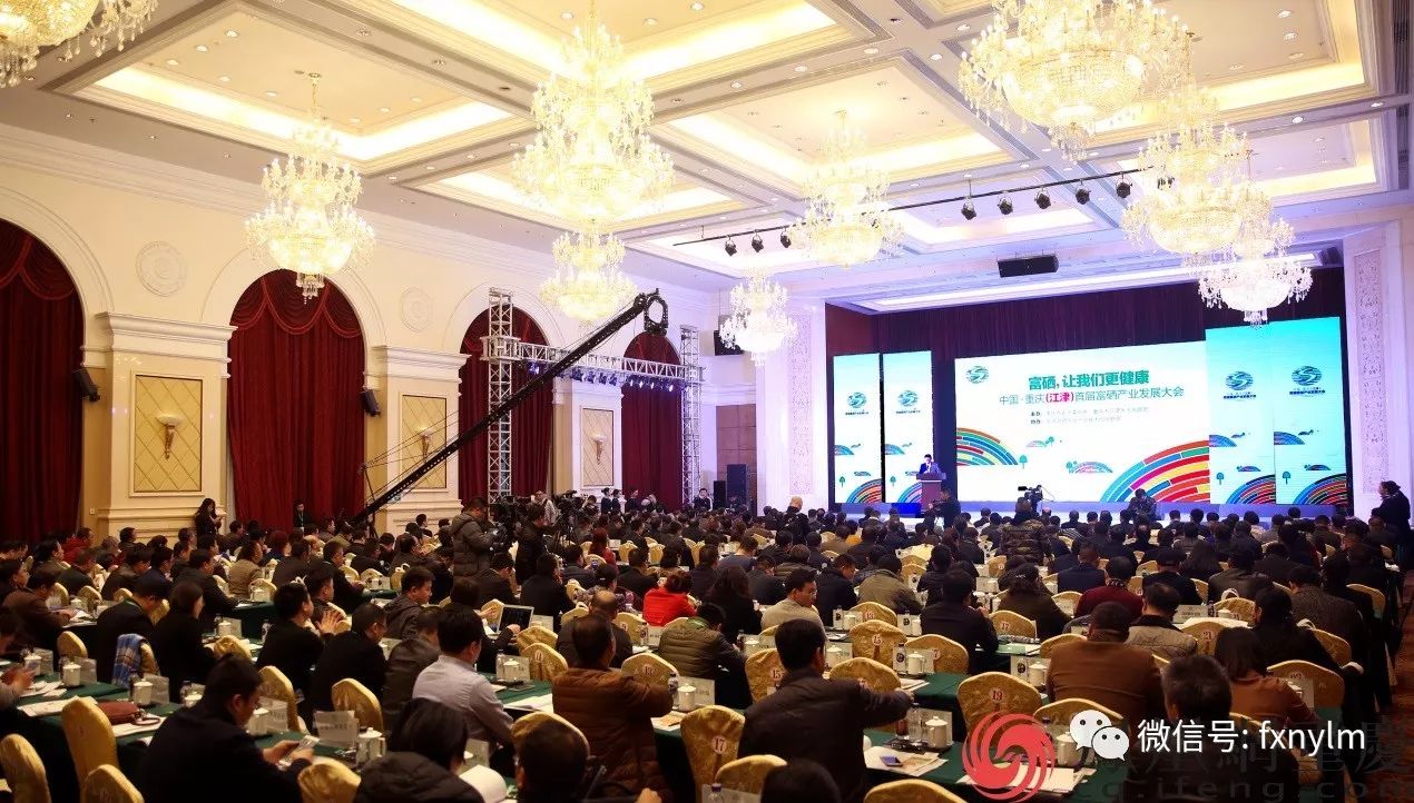 富硒的蔬菜哪里最多呢（蔬菜富硒标准）-硒宝网