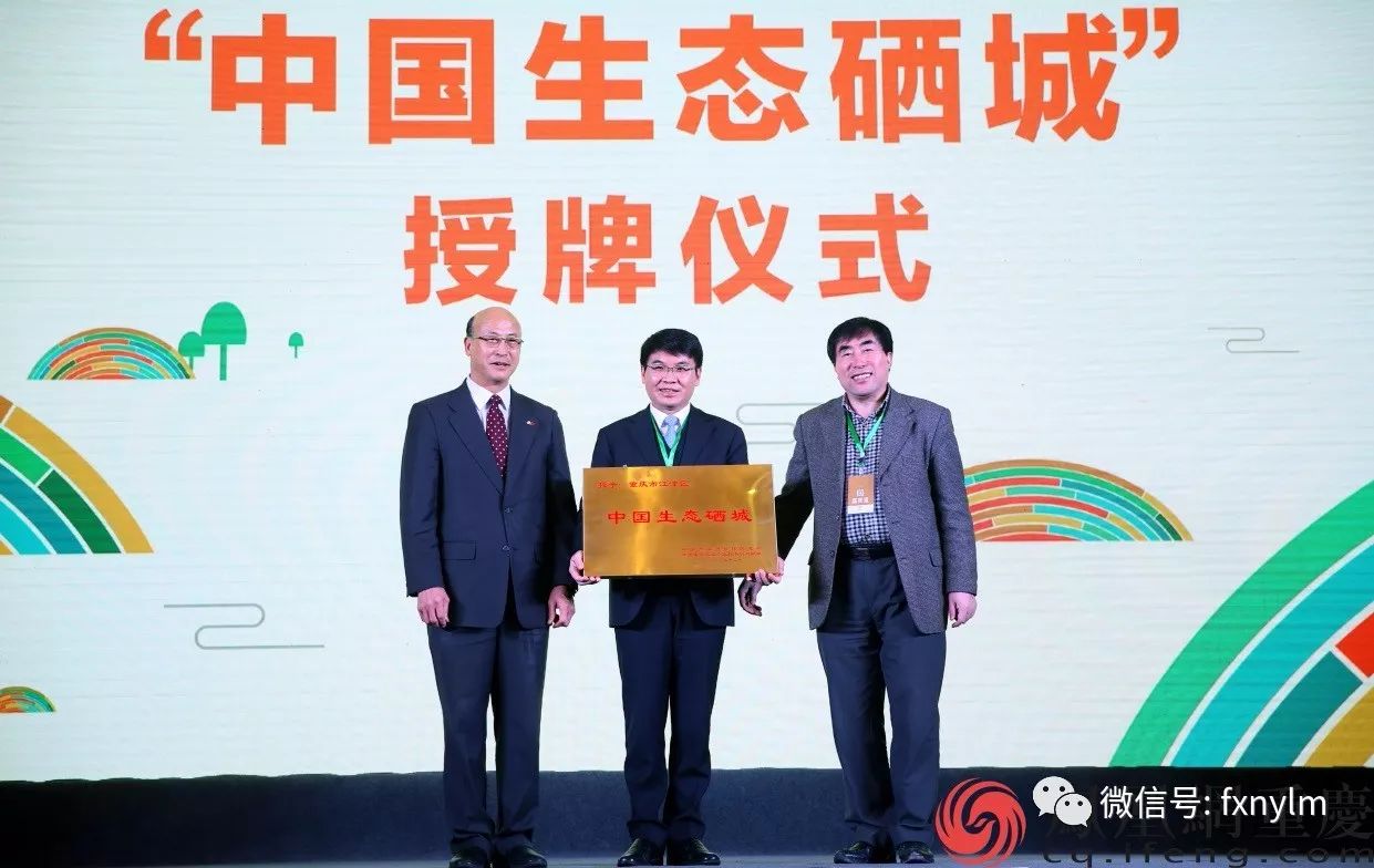 富硒的蔬菜哪里最多呢（蔬菜富硒标准）-硒宝网