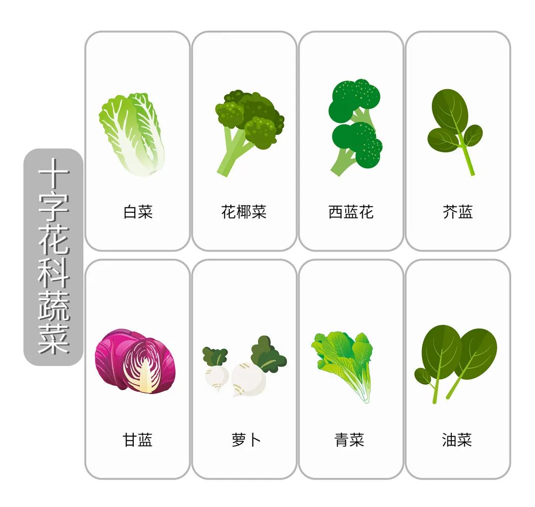 富硒蔬菜和普通的蔬菜（蔬菜普通富硒含量标准）-硒宝网