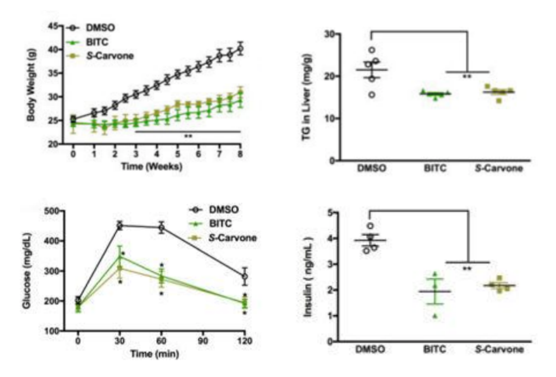 富硒蔬菜和普通的蔬菜（蔬菜普通富硒含量标准）-硒宝网