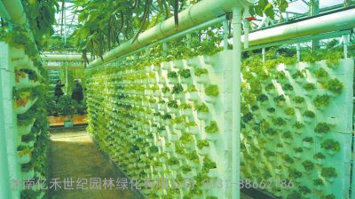 无土富硒蔬菜种植技术(怎样种植富硒蔬菜)-硒宝网