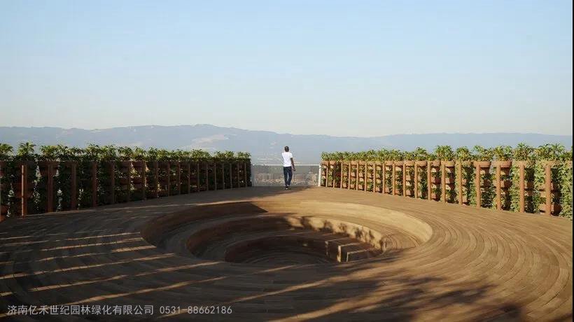 无土富硒蔬菜种植技术(怎样种植富硒蔬菜)-硒宝网