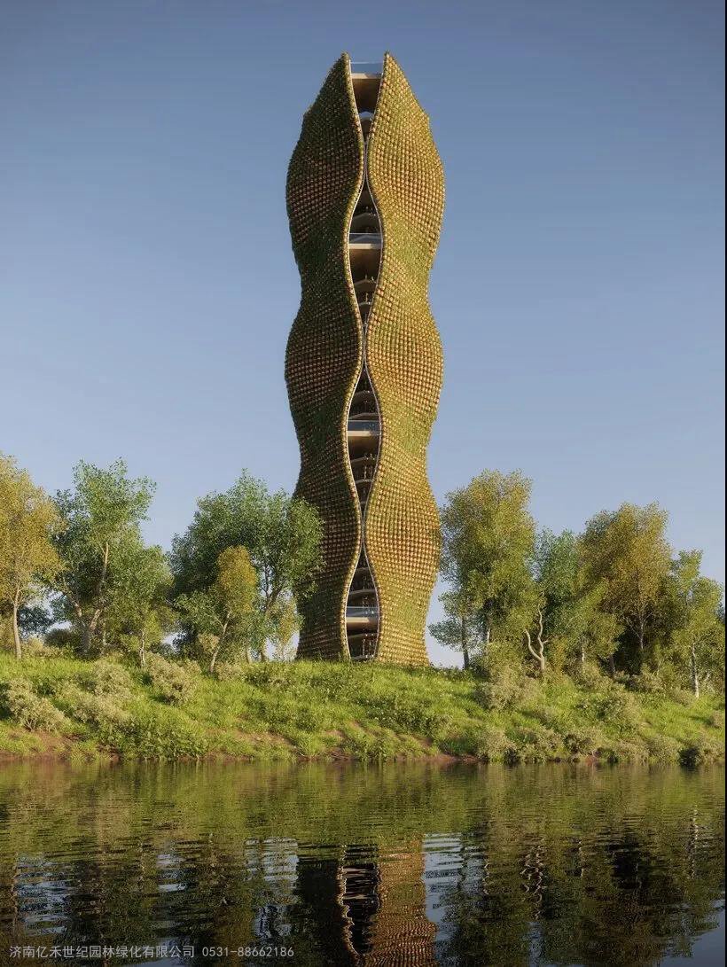 无土富硒蔬菜种植技术(怎样种植富硒蔬菜)-硒宝网