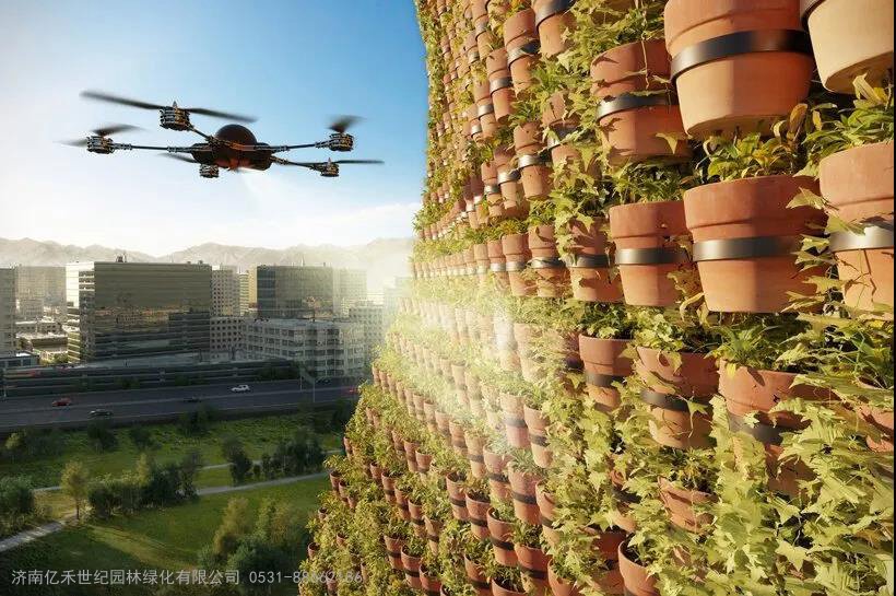 无土富硒蔬菜种植技术(怎样种植富硒蔬菜)-硒宝网