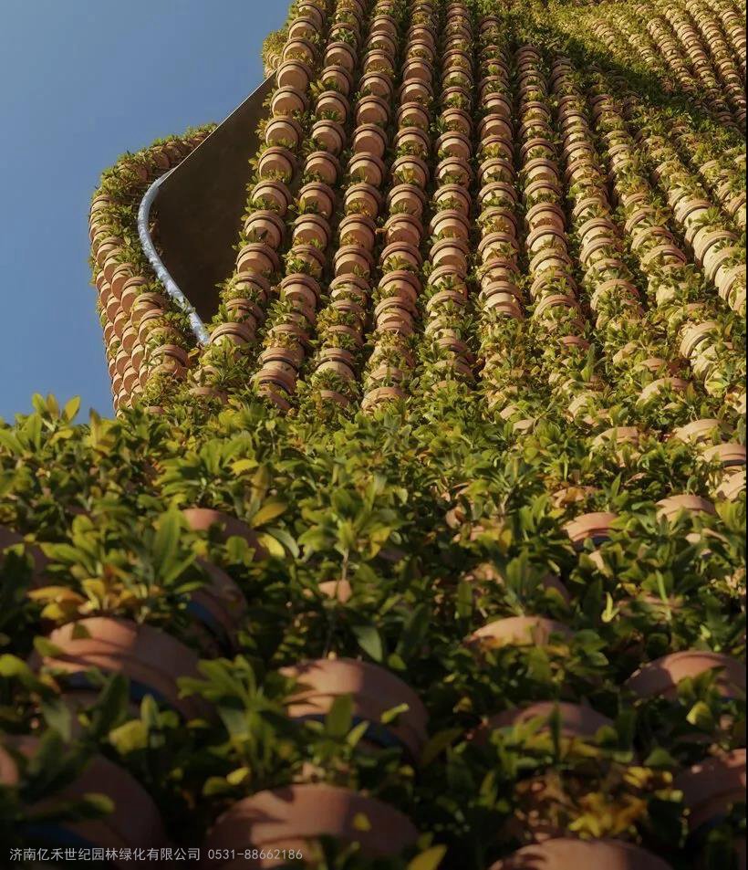 无土富硒蔬菜种植技术(怎样种植富硒蔬菜)-硒宝网