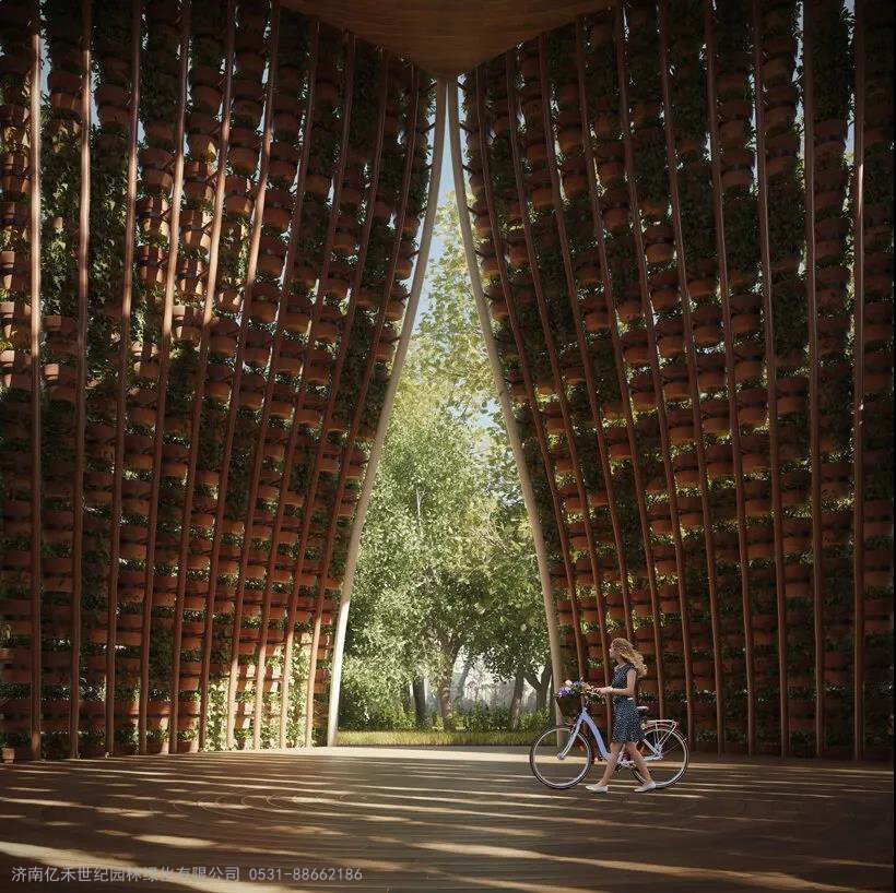 无土富硒蔬菜种植技术(怎样种植富硒蔬菜)-硒宝网