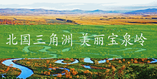 富硒高钙蔬菜面条直播(面食钙含量)-硒宝网