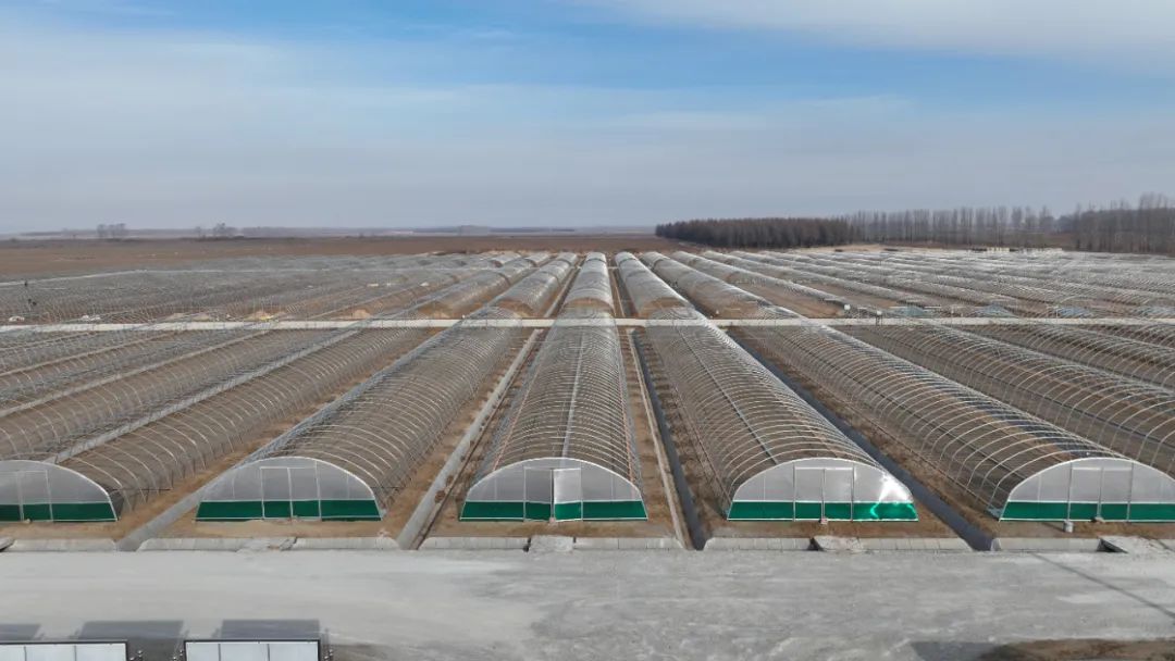 富硒高钙蔬菜面条直播(面食钙含量)-硒宝网