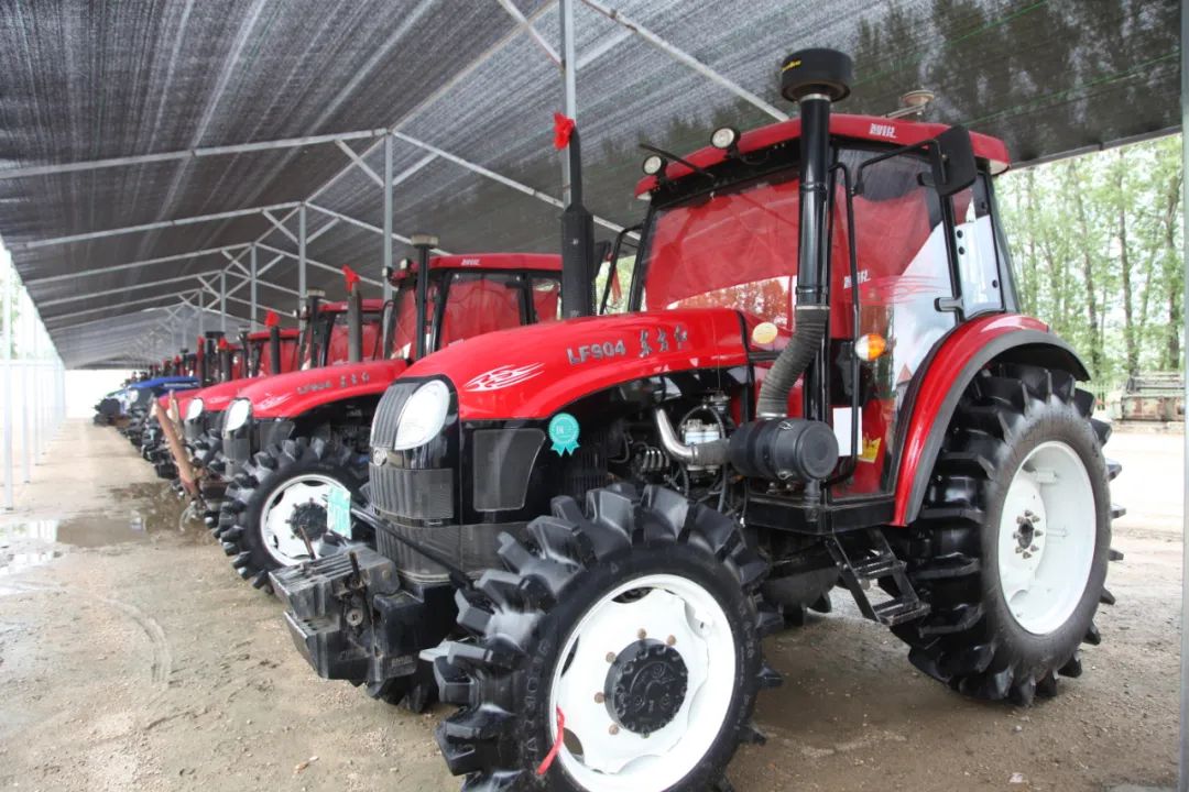 富硒高钙蔬菜面条直播(面食钙含量)-硒宝网