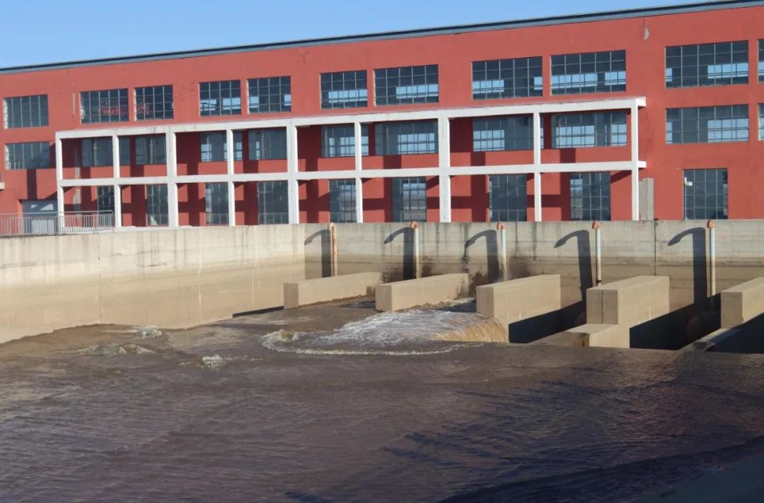 富硒高钙蔬菜面条直播(面食钙含量)-硒宝网