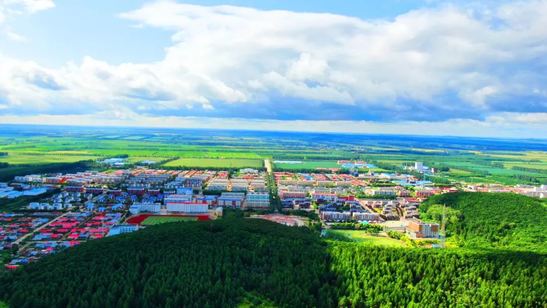 富硒高钙蔬菜面条直播(面食钙含量)-硒宝网