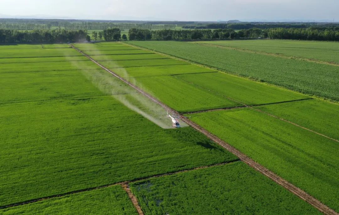 富硒高钙蔬菜面条直播(面食钙含量)-硒宝网