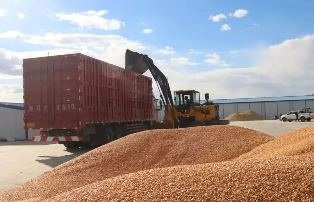 富硒高钙蔬菜面条直播(面食钙含量)-硒宝网