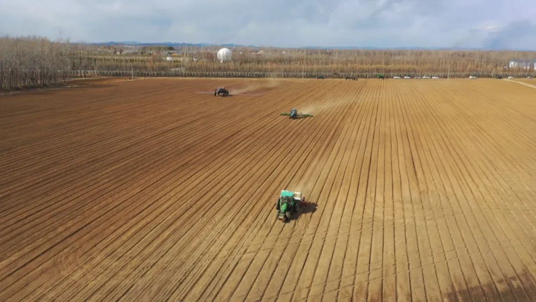 富硒高钙蔬菜面条直播(面食钙含量)-硒宝网