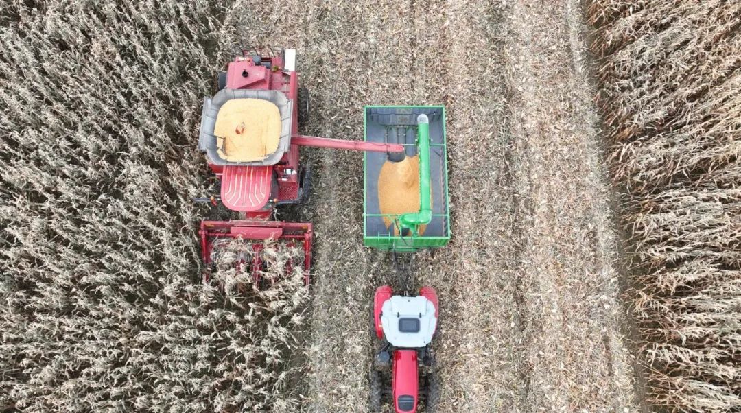 富硒高钙蔬菜面条直播(面食钙含量)-硒宝网