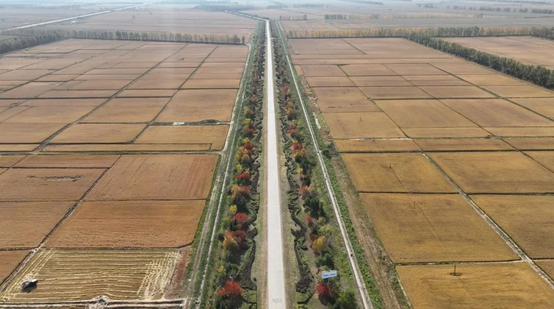 富硒高钙蔬菜面条直播(面食钙含量)-硒宝网